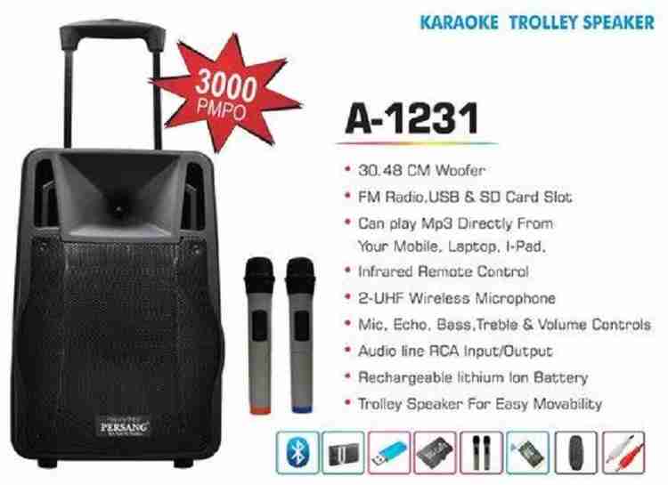 Portable music system clearance with mic