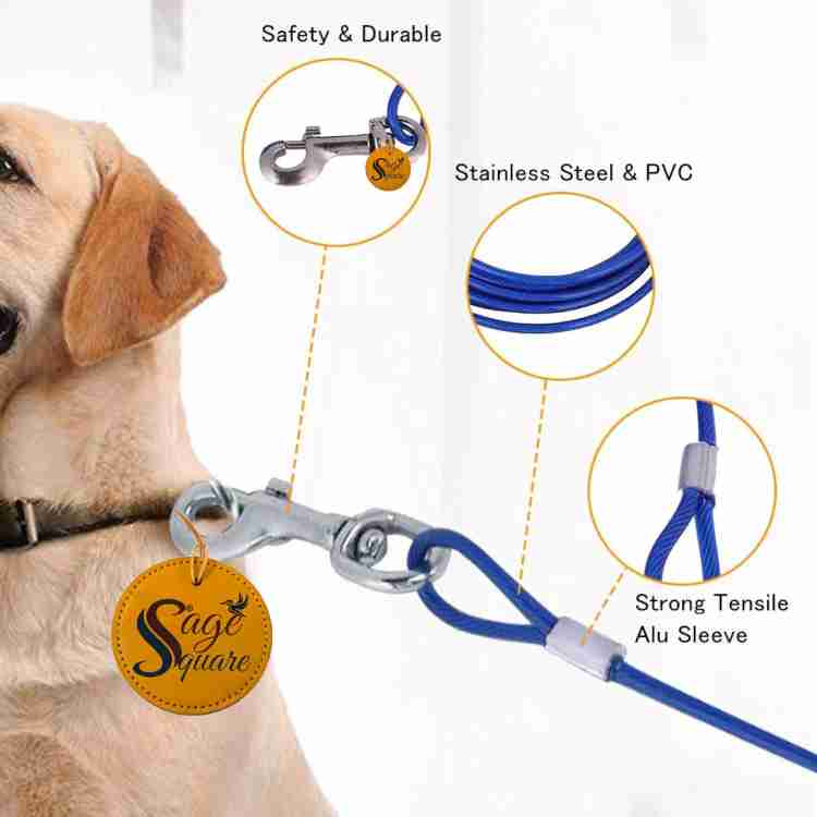 Dual dog tie out shop