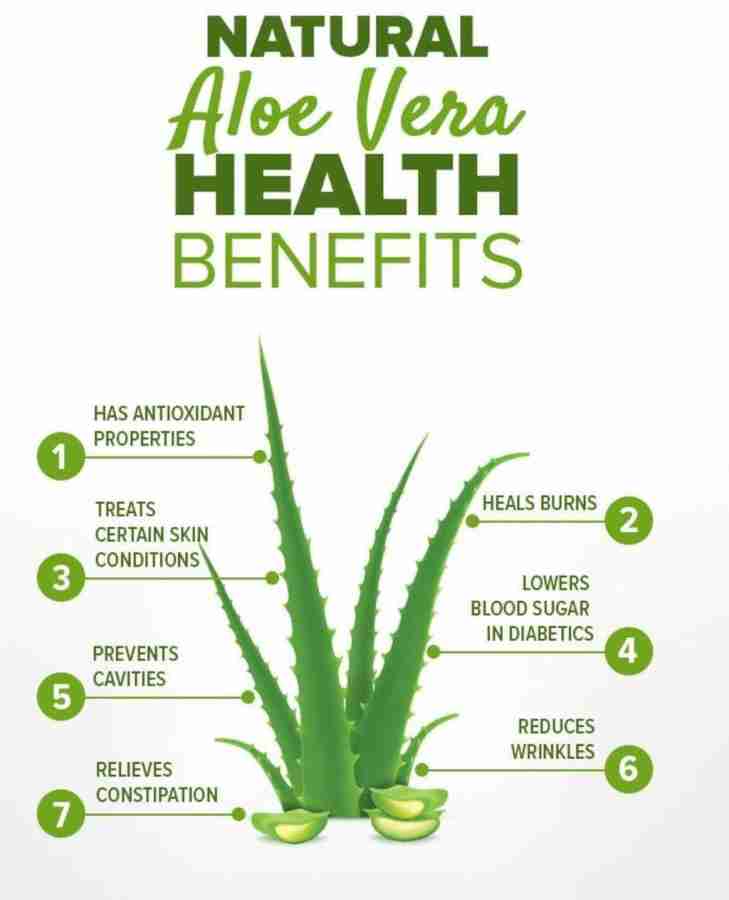 Aloe vera plant hair benefits hotsell