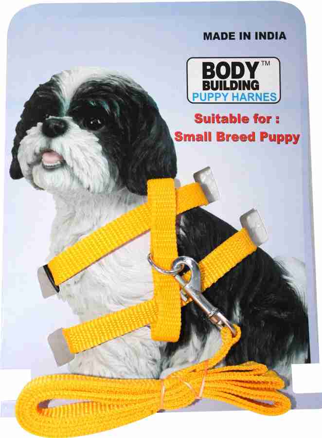 Puppy harness shop india