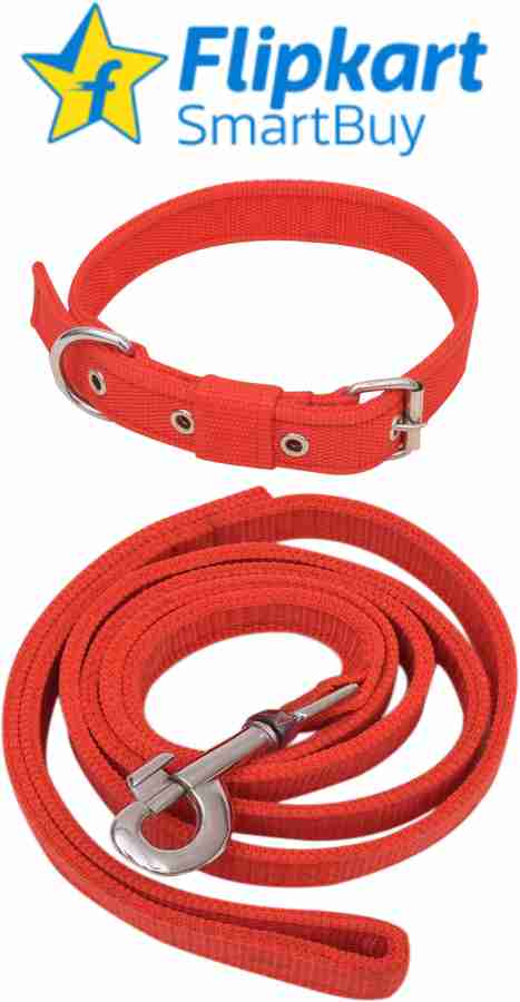 Dog belt hot sale online flipkart