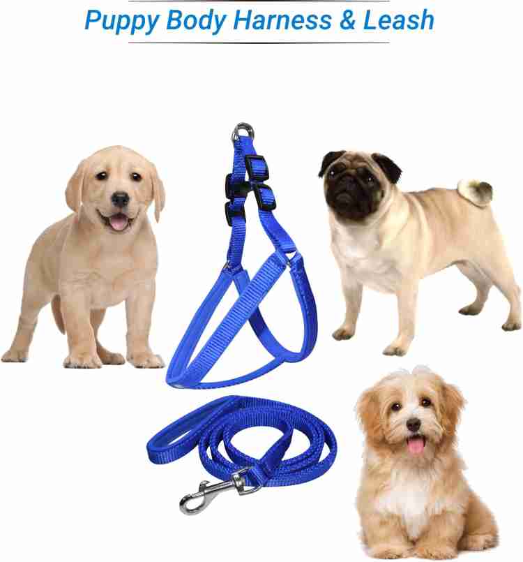 Dog body fashion belt flipkart