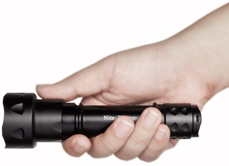 Wolf Eyes Nite Hunter Torch Price in India - Buy Wolf Eyes
