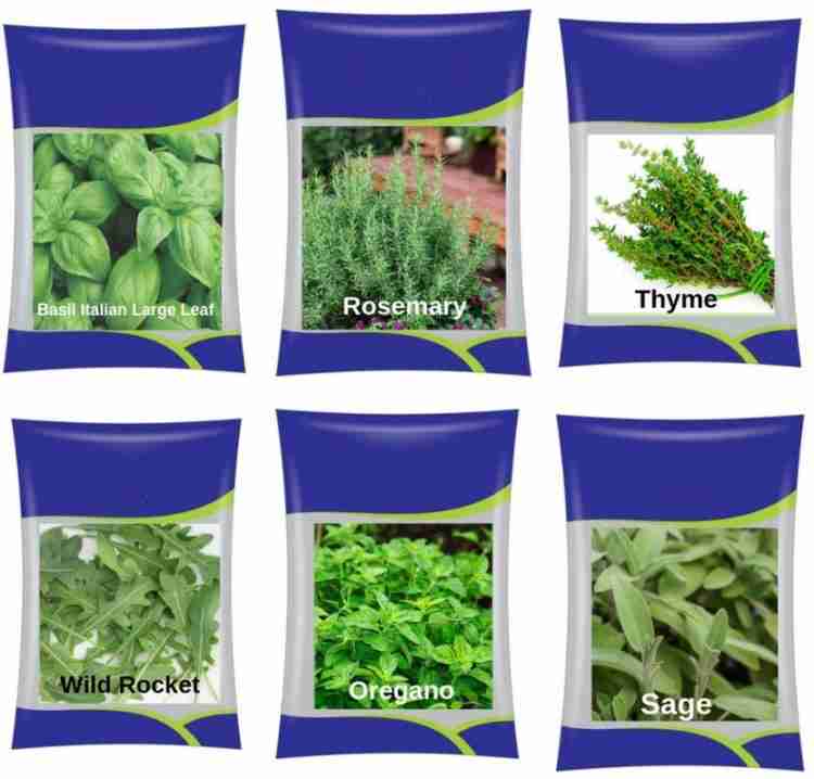 CYBEXIS Rosemary Thyme Oregano Italian Basil Basil Purple