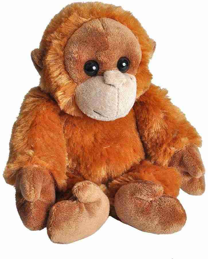 Wild 2025 republic orangutan