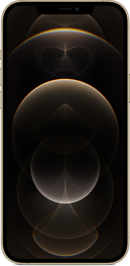 iPhone12 ProMaxゴールド256G結構綺麗！☆嬉しいオマケ付き♪