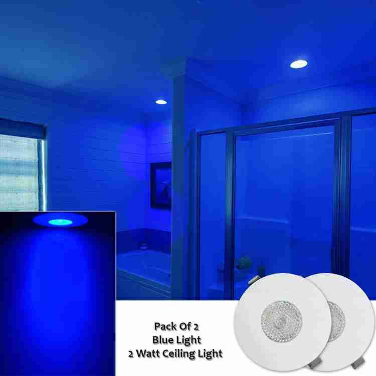 Blue ceiling lamp store