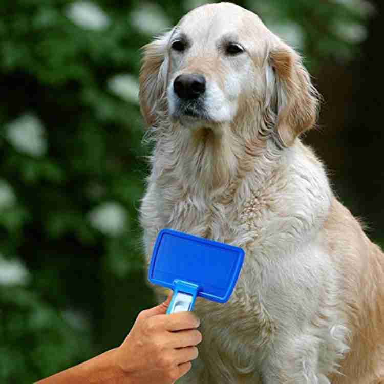 Slicker brush golden retriever top