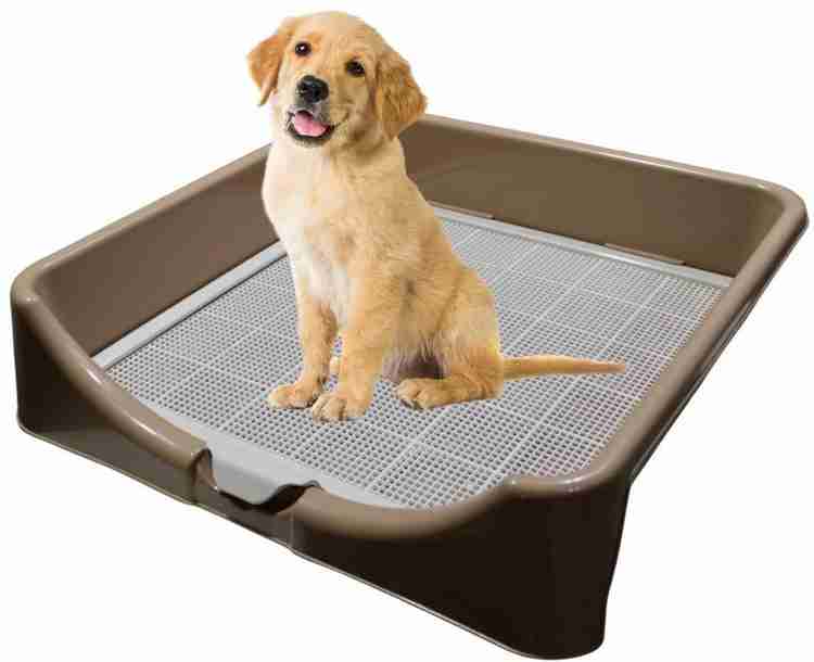 Dog potty tray sales