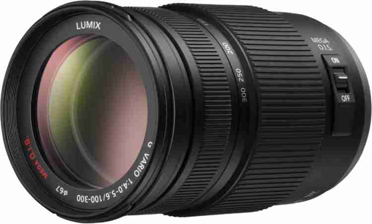 Panasonic LUMIX G VARIO 100-300mm / F4.0-5.6 II / POWER O.I.S