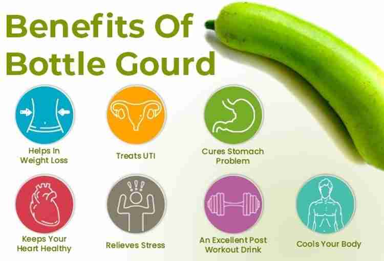 Corofitam Bottle gourd Seed Price in India Buy Corofitam Bottle gourd Seed online at Flipkart