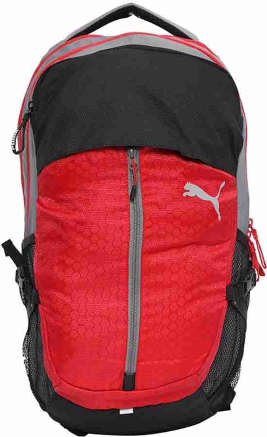 PUMA Apex Backpack IND 23 L Laptop Backpack Ribbon Red Steel Gray Price in India Flipkart