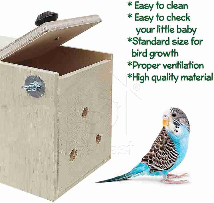 PetNest Standard Budgie Bird and Love Bird breeding nest Box Bird