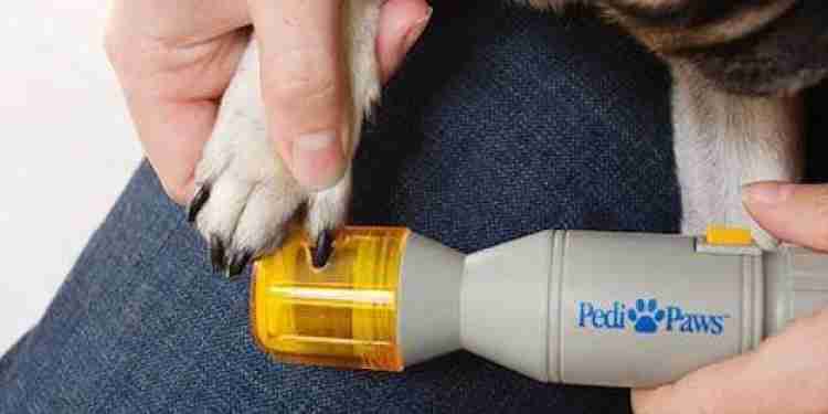 Pedi paw nail trimmer shops