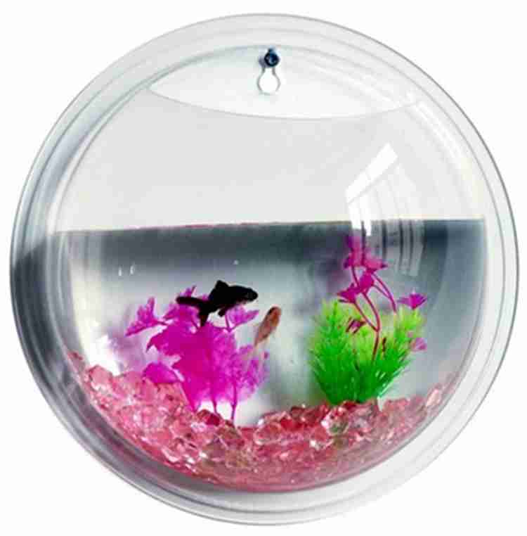Wall aquarium prices online
