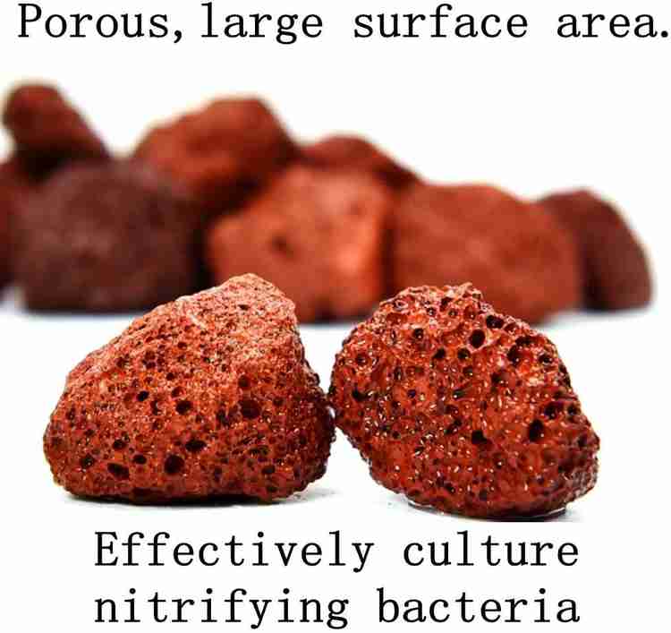 Petzlifeworld Lava Sphere Bio Filter Media for Marine and Freshwater Aquariums Red Volcanic Rock 400g Aquarium Filter Cartridge Price in India Buy Petzlifeworld Lava Sphere Bio Filter Media for Marine...