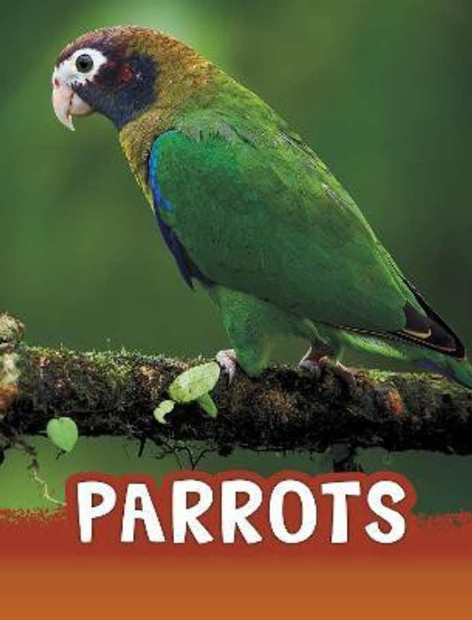 buy pet birds online