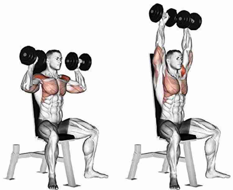 Aurion home gym set outlet