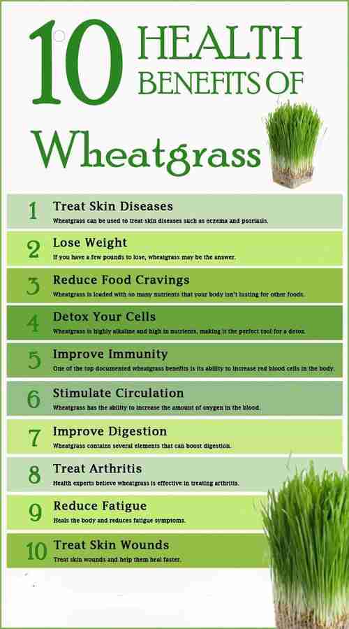 Health benefits of wheatgrass juice hot sale