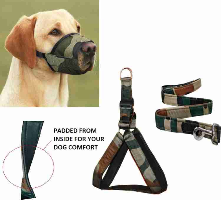 Harness with muzzle best sale