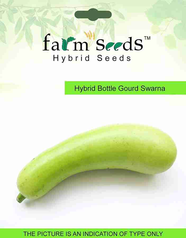 Bottle gourd uses store