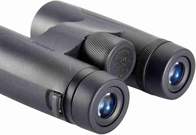 Solognac 10x42 hot sale review