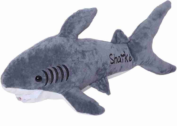Teddy bear shark outlet
