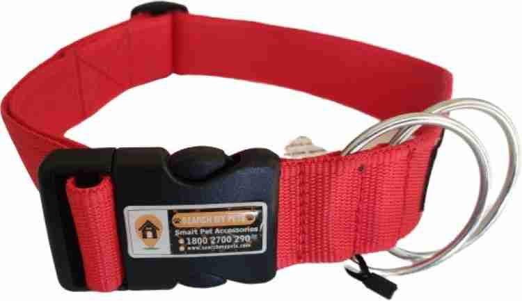 Dog accessories clearance flipkart