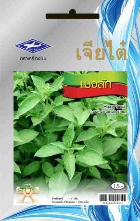 Biosnyg Thai Hoary Basil Seeds From Chia Tai Thailand 1000 Seeds