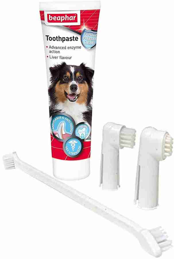 Foodie Puppies Beaphar Dental Care Kit Set for Dogs Puppies One Long Toothbrush Two Finger Toothbrushes Toothpaste Pet Toothpaste Price in India Buy Foodie Puppies Beaphar Dental Care