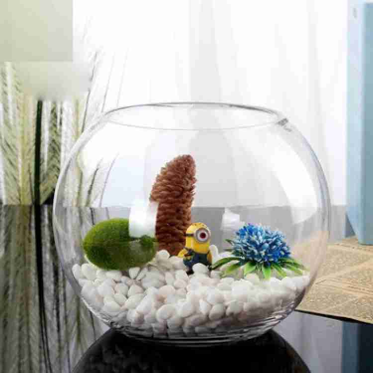 Virya 4 L Fish Bowl Price in India - Buy Virya 4 L Fish Bowl