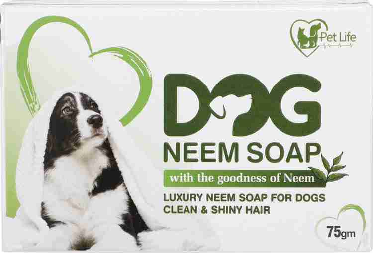 Dog safe soap store