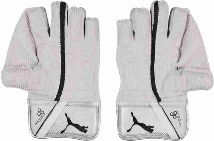Puma evo se shop wicket keeping gloves