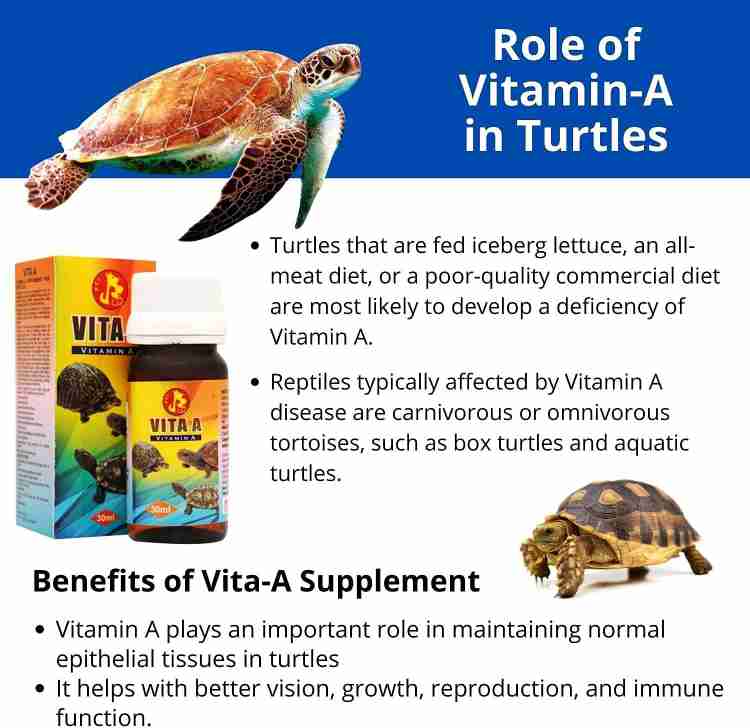 Tortoise vitamin supplement shop
