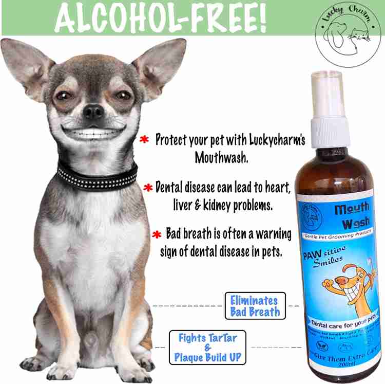 Dog mouthwash for water store