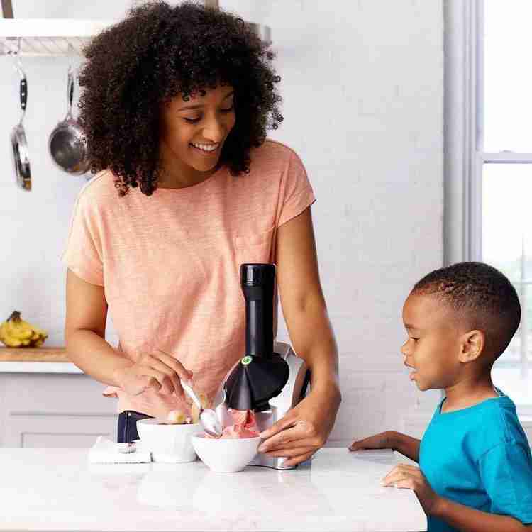 Secura healthy frozen new arrivals fruit dessert maker