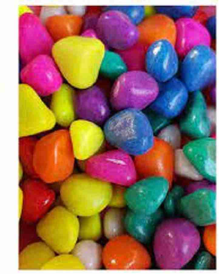 Aquarium stone price 2025