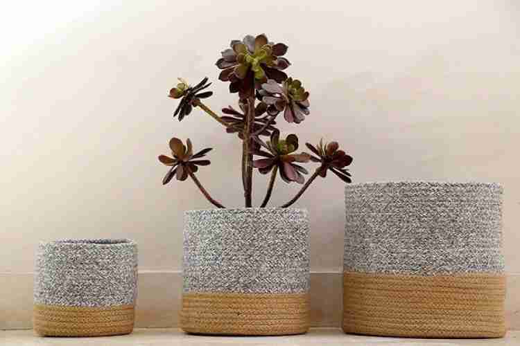 GREY DRIP Natural Jute Rope Hanging Planter Basket-iFurniture-The largest  furniture store in Edmonton. Carry Bedroom Furniture, living room  furniture,Sofa, Couch, Lounge suite, Dining Table and Chairs and Patio  furniture over 1000+ products.