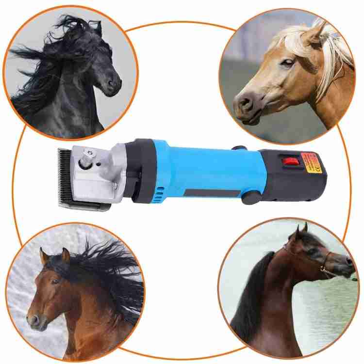 DeReliable 850W Horse Goat Sheep Clipper Blue Red Pet Hair Trimmer Price in India Buy DeReliable 850W Horse Goat Sheep Clipper Blue Red Pet Hair Trimmer online at Flipkart