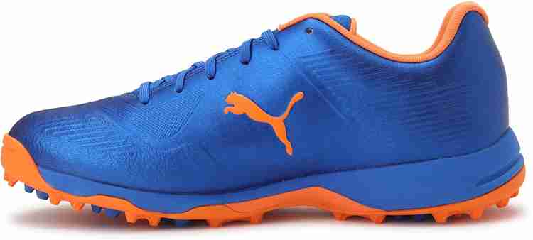 Puma 19 fh rubber men's cricket shoes sales