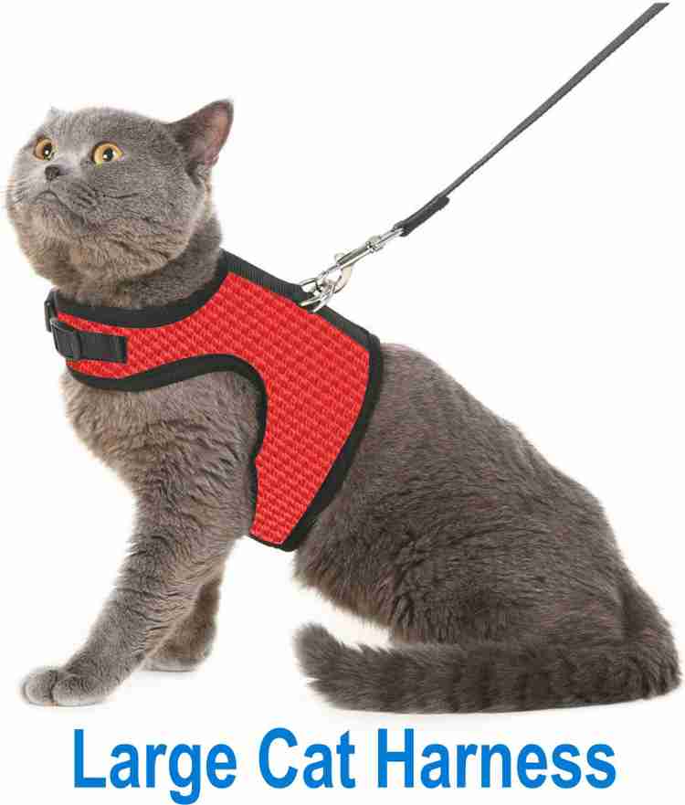 BODY BUILDING Red Cat Harness Suitable for Large Cat Harness