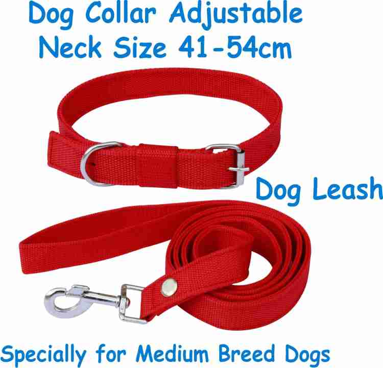 Dog leash harness sale combo