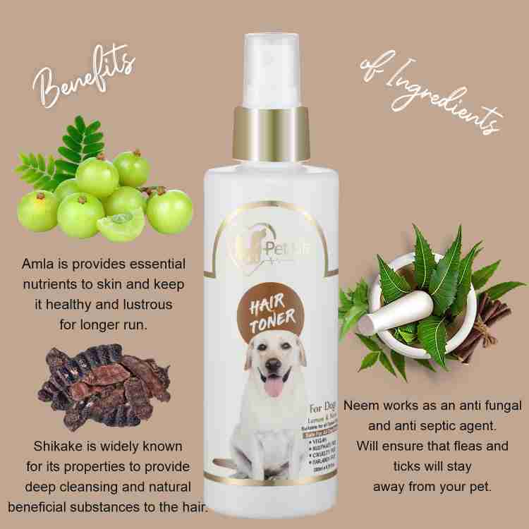 Essential oil for outlet dog hair loss