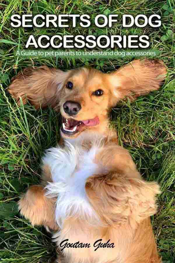 Secrets of Dog Accessories Buy Secrets of Dog Accessories by