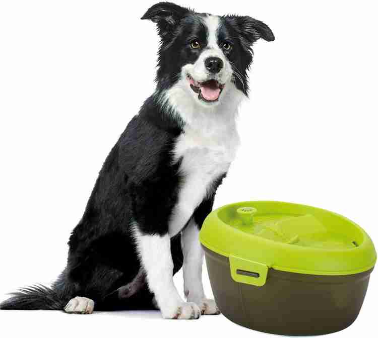 Goofy Tails Dog H2O Water Fountain for Dogs Automatic Dog Water Dispenser with Dental Care Tablet and Carbon Filter Pad 6 Liters Price in India Buy Goofy Tails Dog H2O