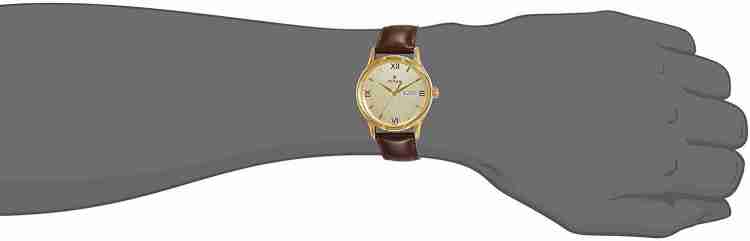 Titan NP1580YL05 NP1580YL05 Analog Watch - For Men