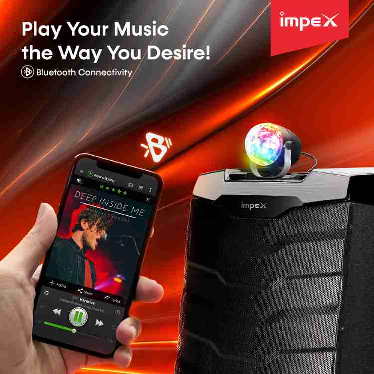Buy IMPEX TS 1101 Multimedia Portable with USB SD TF FM Radio AUX