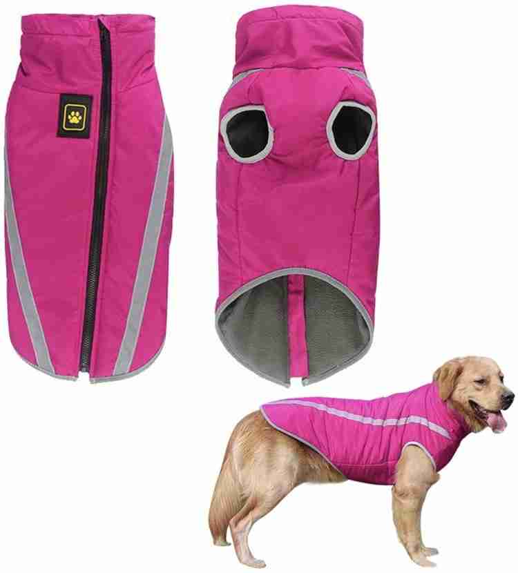 Flipkart dog hot sale price