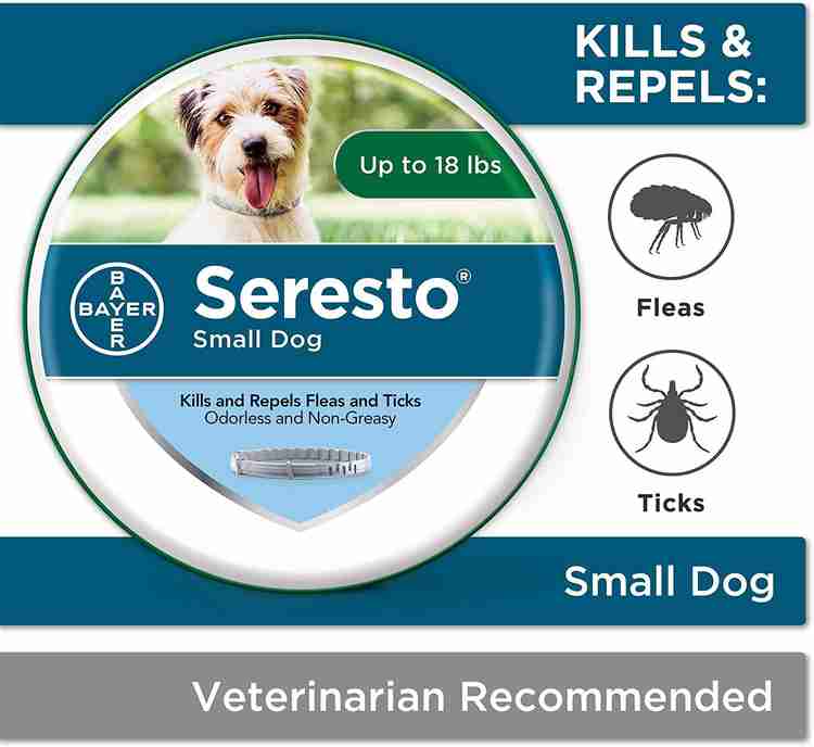 Bayer seresto flea and tick collar for small dogs sales