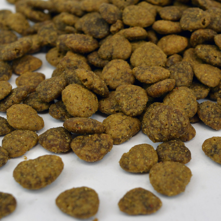benevo pet food